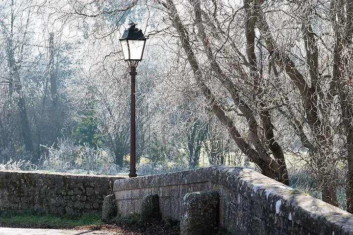 Gel&eacute;e d'arbres - Photo n°10