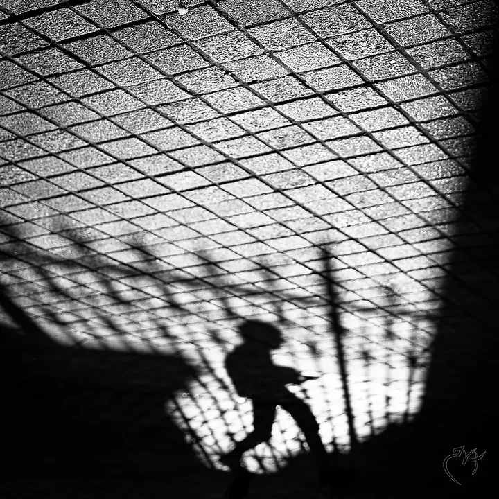 Quelques cadrages cr&eacute;atifs - Photo n°13