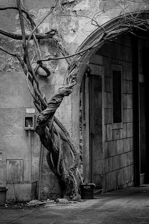 Photo de rue Poitiers (29) - Photo n°13