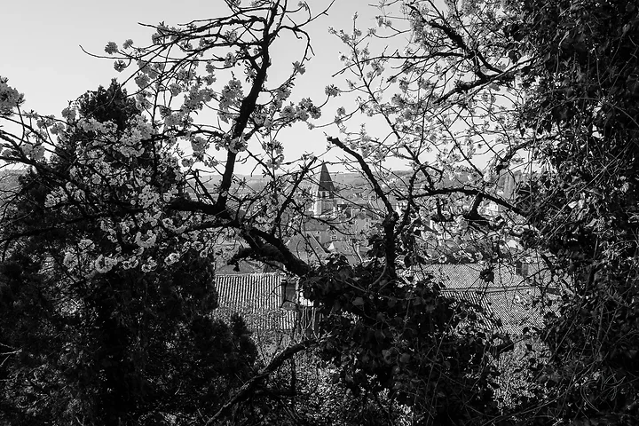 La cit&eacute; &agrave; Chauvigny - Photo n°6