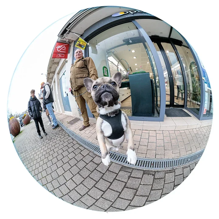Photo de rue Chauvigny - &ccedil;a bulle - Photo n°16