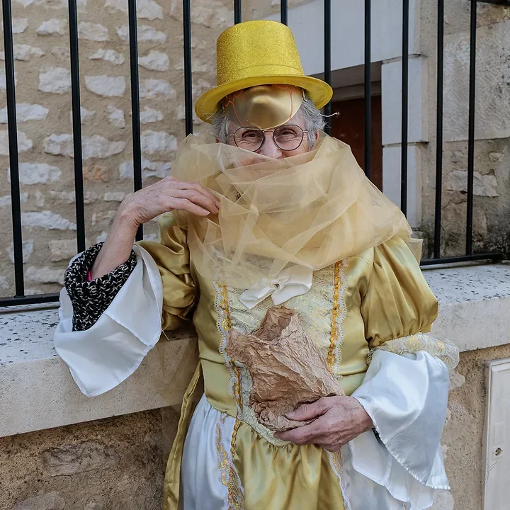 Carnaval de Chauvigny - Photo n°46