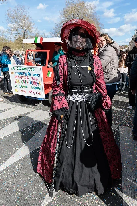 Carnaval de Chauvigny - Photo n°47