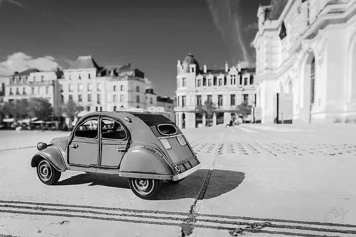 J'ai sorti Titine aujourd'hui  - Photo n°5