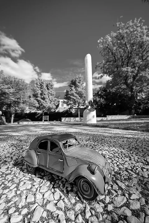 J'ai sorti Titine aujourd'hui  - Photo n°10