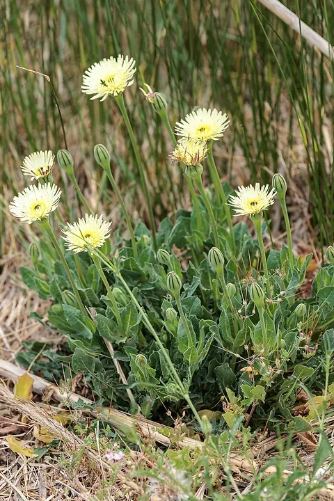 Brun de nature - Photo n°18