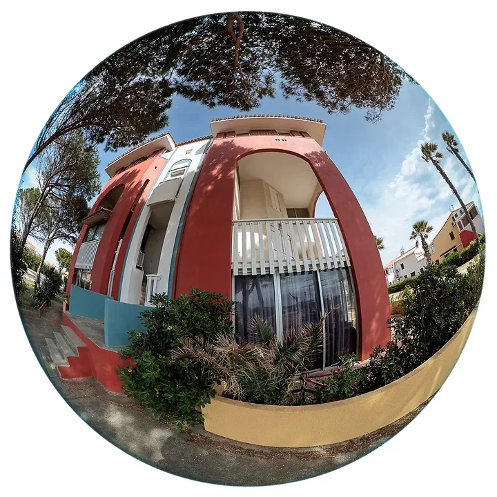 Archibulbe - Photo n°6