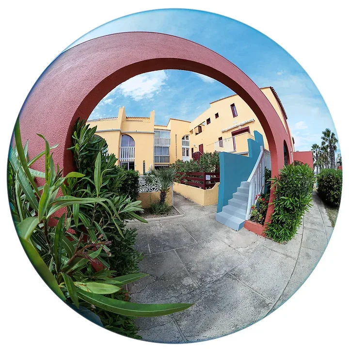 Archibulbe - Photo n°9