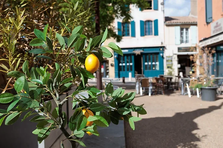 Leucate - Photo n°3