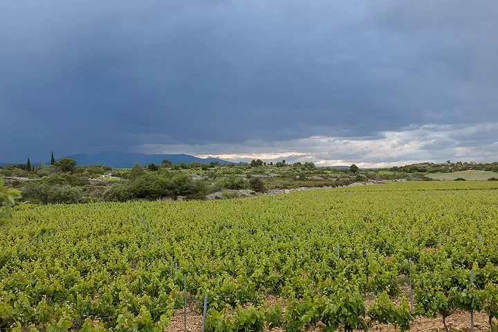 Leucate - Photo n°39