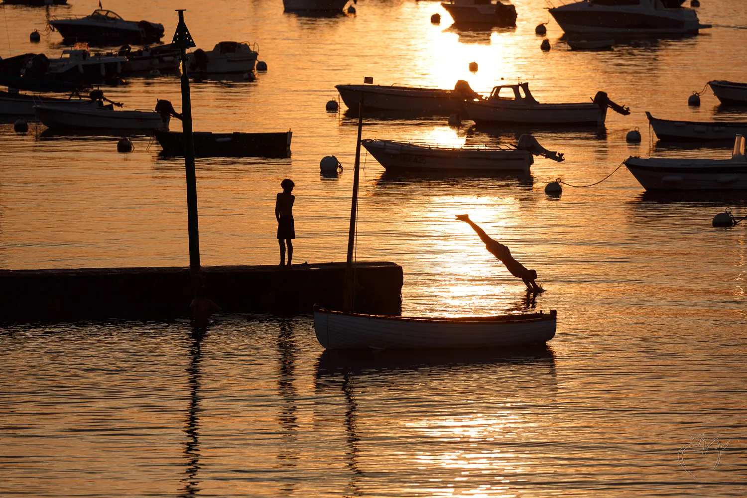 Un peu de fraicheur - Photo n°4