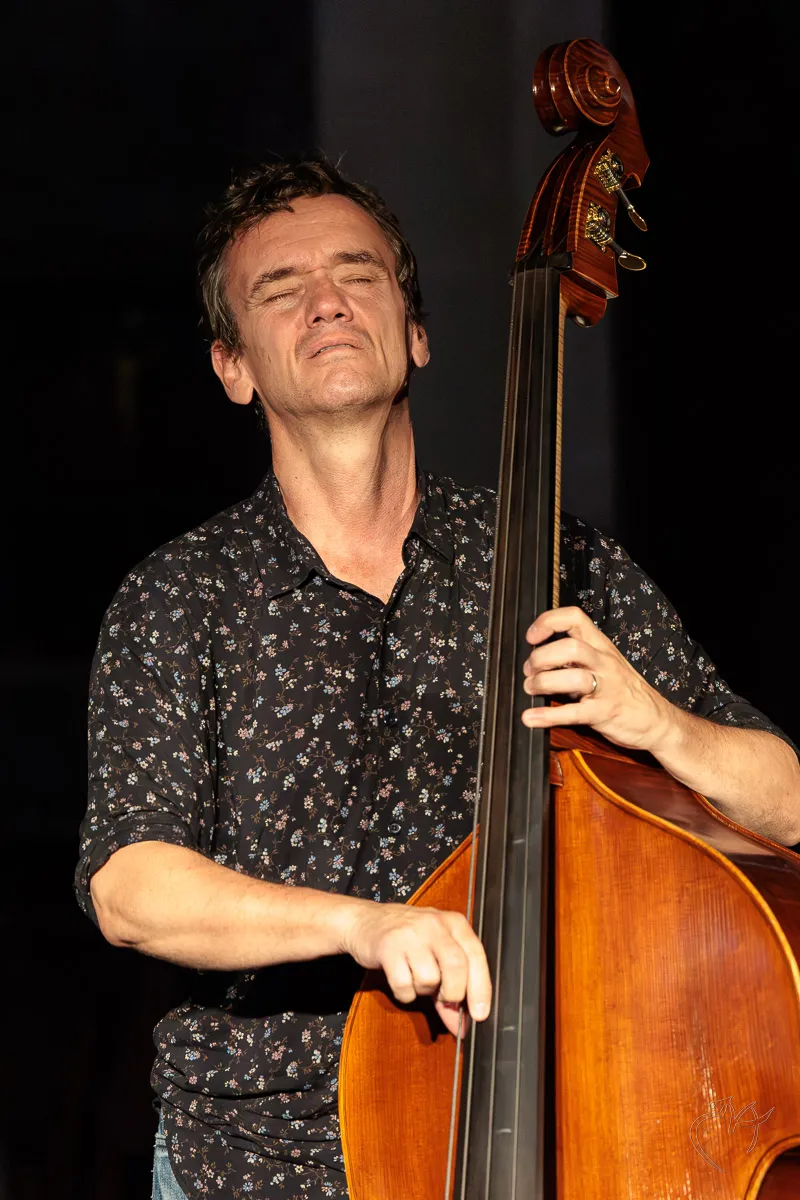 Jazz &agrave; Dissay (1) - Photo n°10