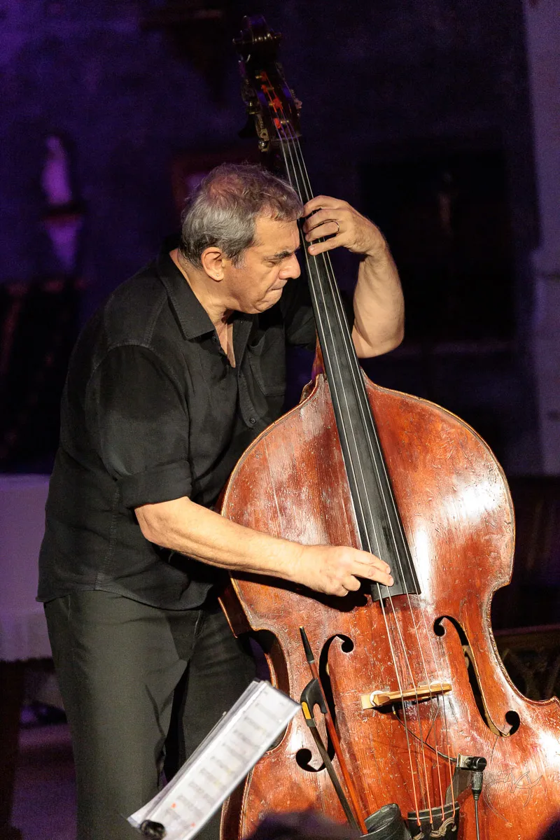 Jazz &agrave; Dissay (2) - Photo n°11
