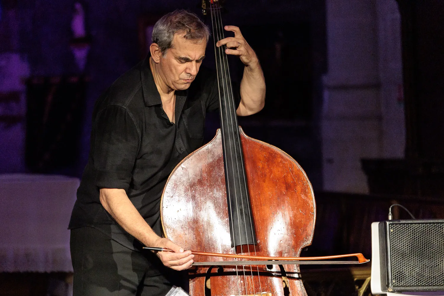 Jazz &agrave; Dissay (2) - Photo n°22