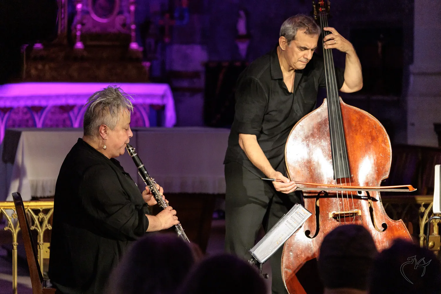Jazz &agrave; Dissay (2) - Photo n°24