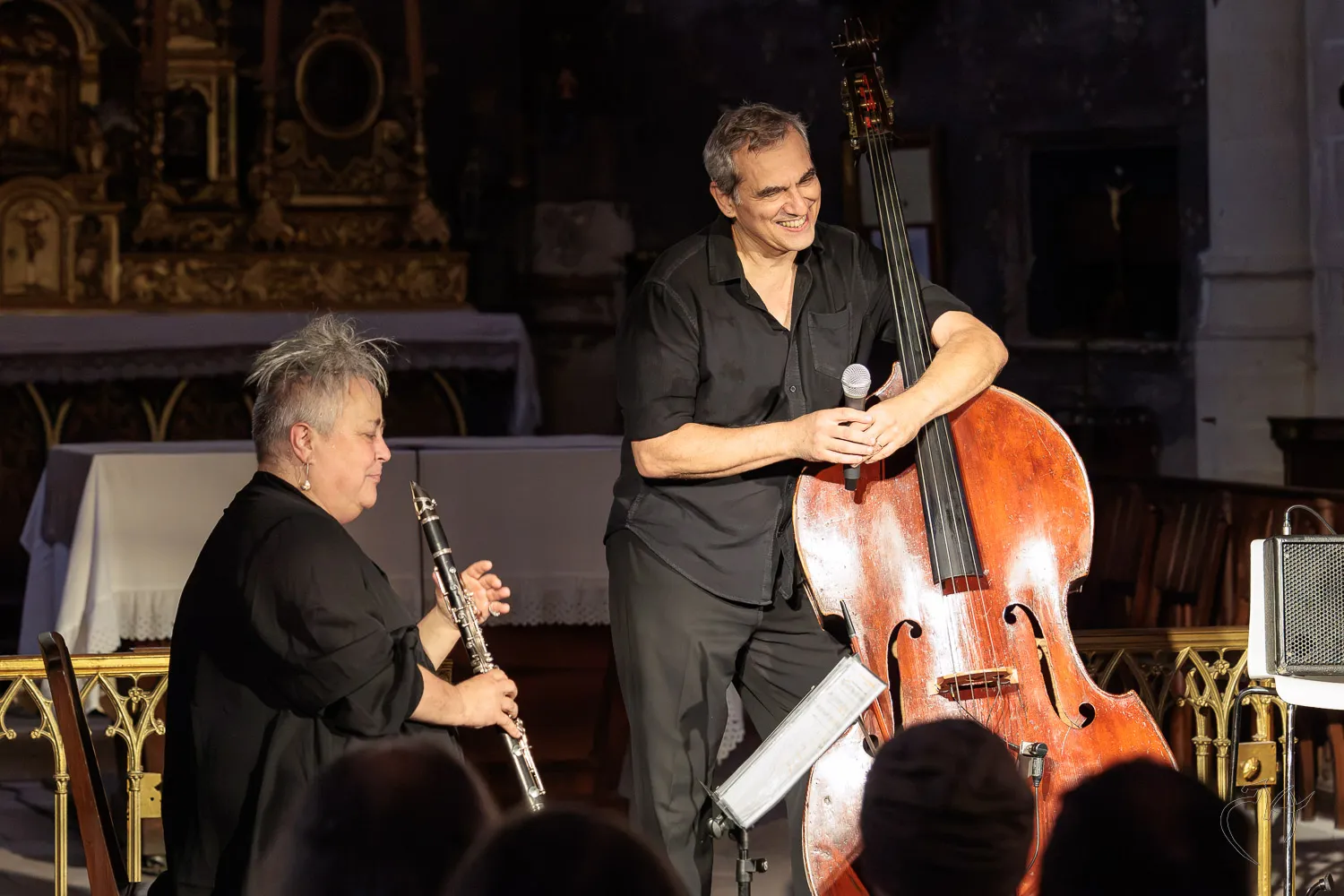 Jazz &agrave; Dissay (2) - Photo n°26