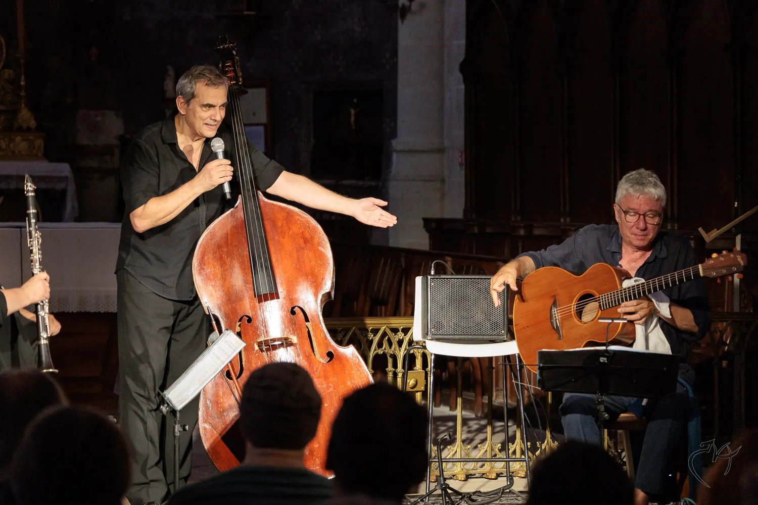 Jazz &agrave; Dissay (2) - Photo n°27