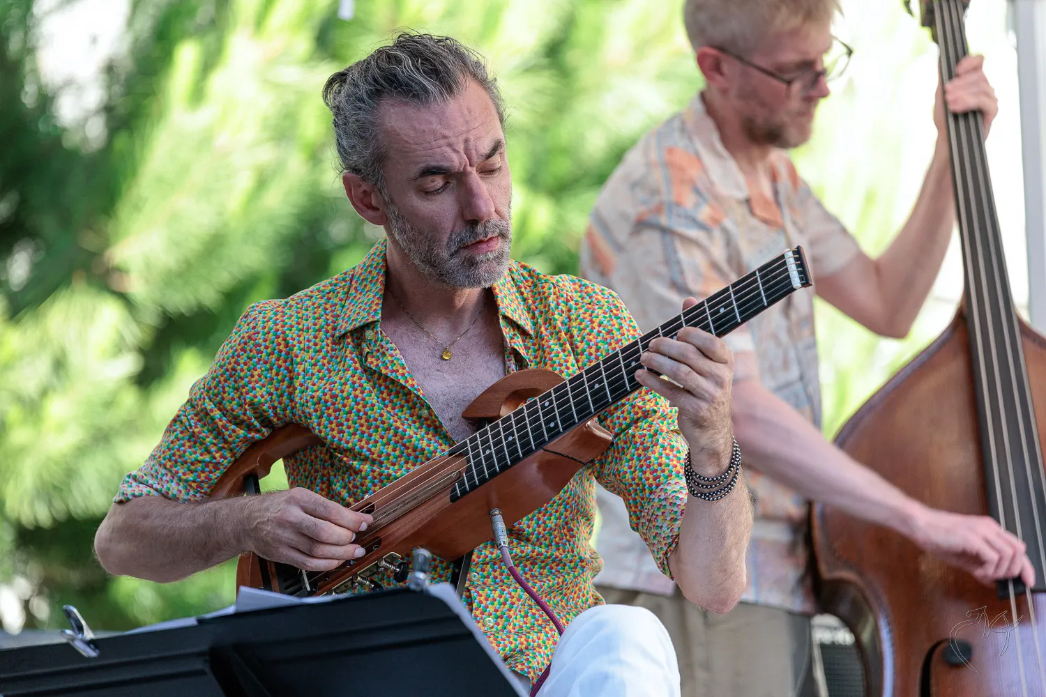 Jazz &agrave; Dissay (3) - Photo n°3
