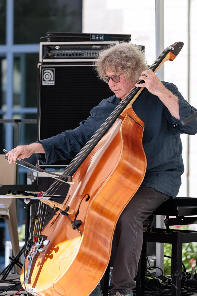 Jazz &agrave; Dissay (4) - Photo n°10