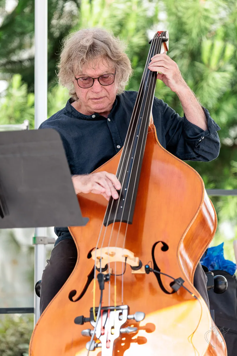 Jazz &agrave; Dissay (4) - Photo n°11