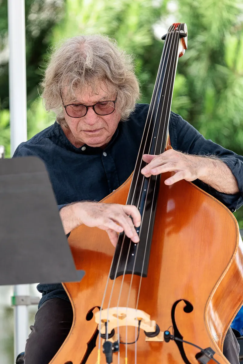 Jazz &agrave; Dissay (4) - Photo n°12