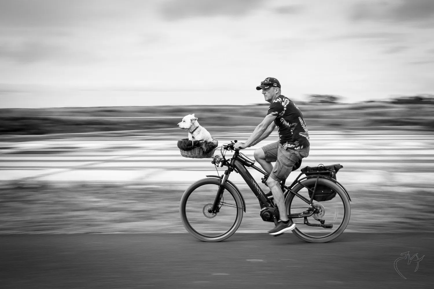 Fil&eacute;s pour v&eacute;los - Photo n°5