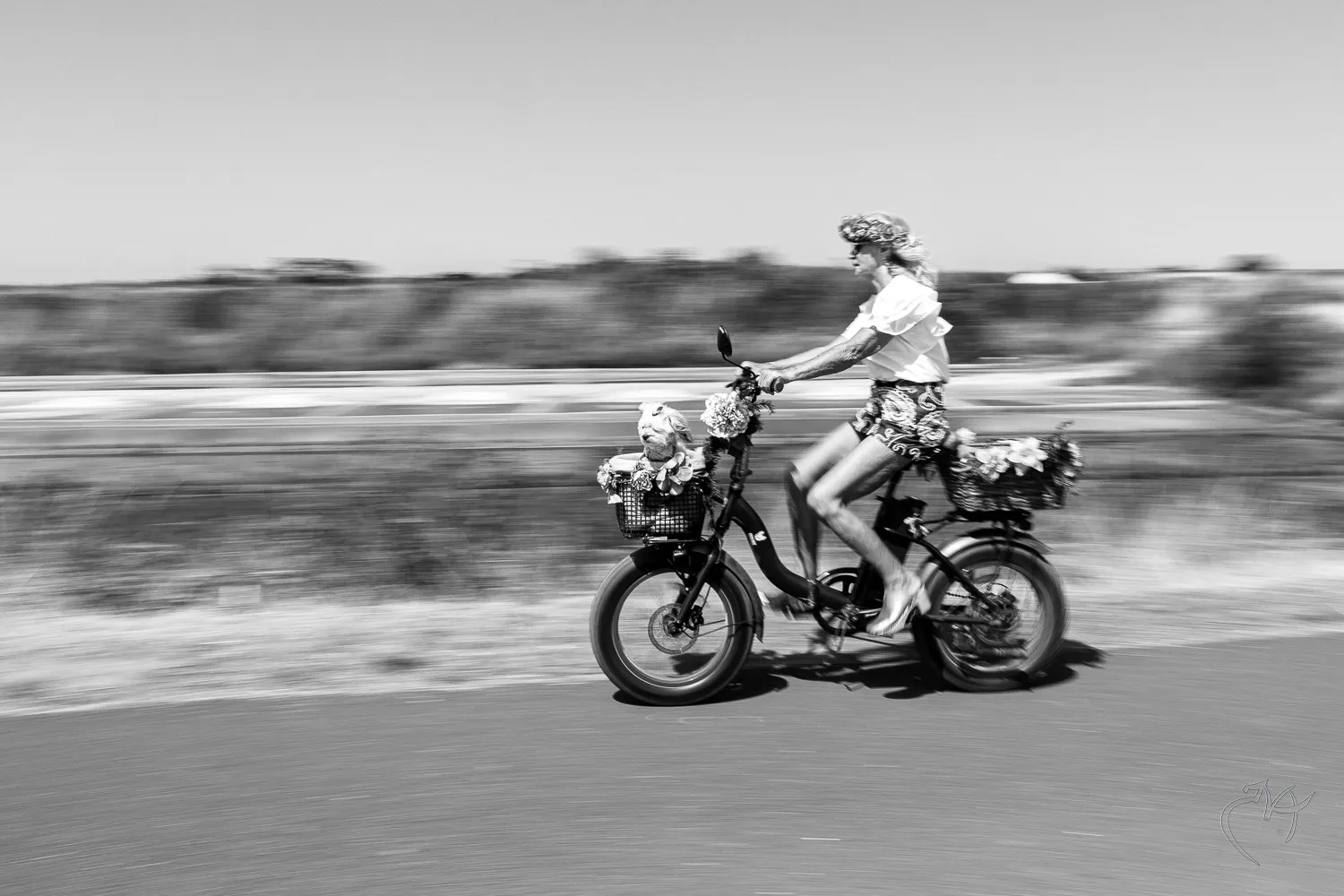 Fil&eacute;s pour v&eacute;los - Photo n°8