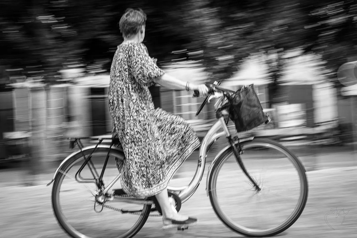 Fil&eacute;s pour v&eacute;los - Photo n°12