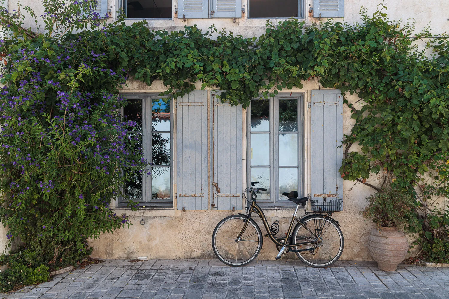 En v&eacute;lo chacun son style  - Photo n°2