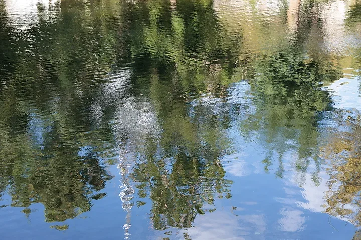 Poitiers le long du Clain - Photo n°4