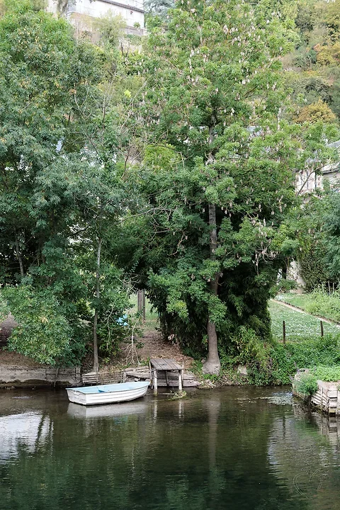 Poitiers le long du Clain - Photo n°6