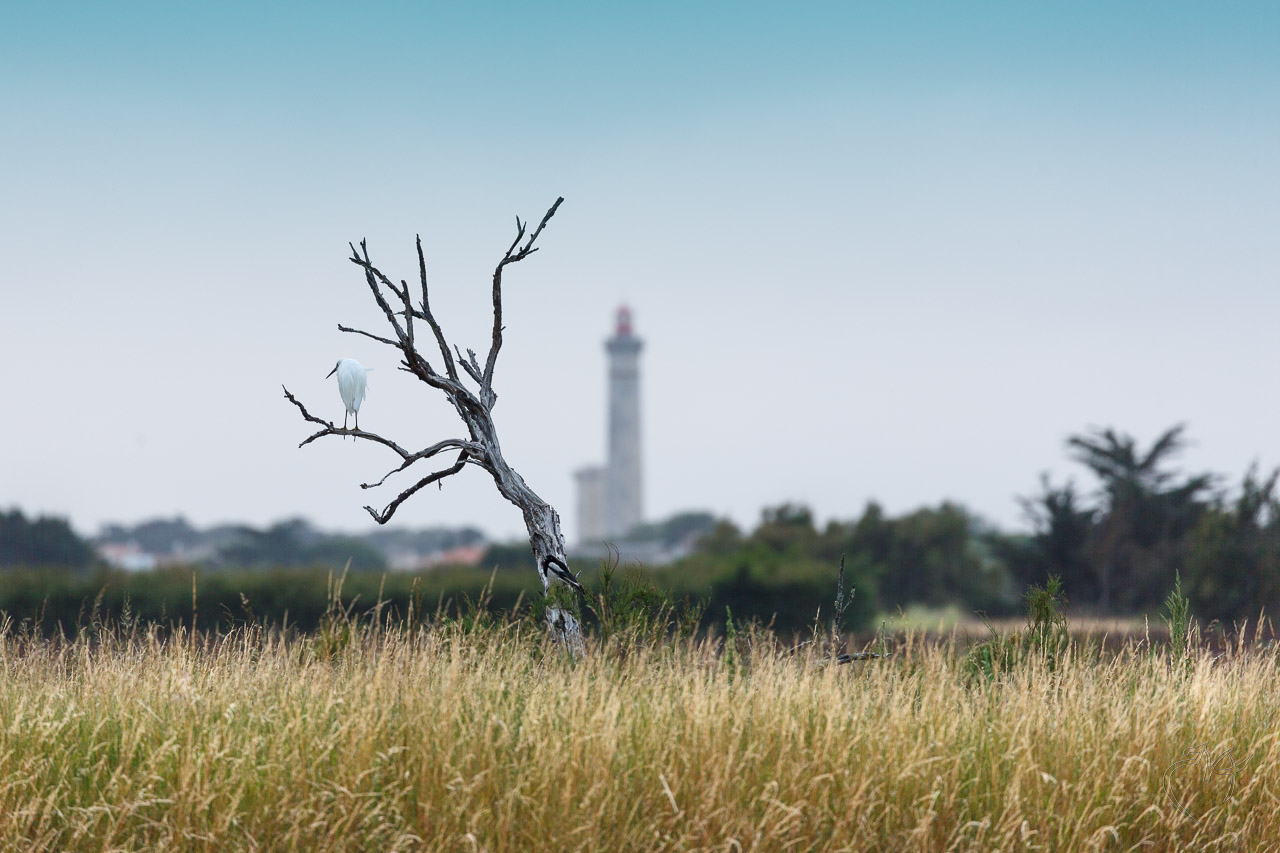 Quelques paysages - Photo n°1