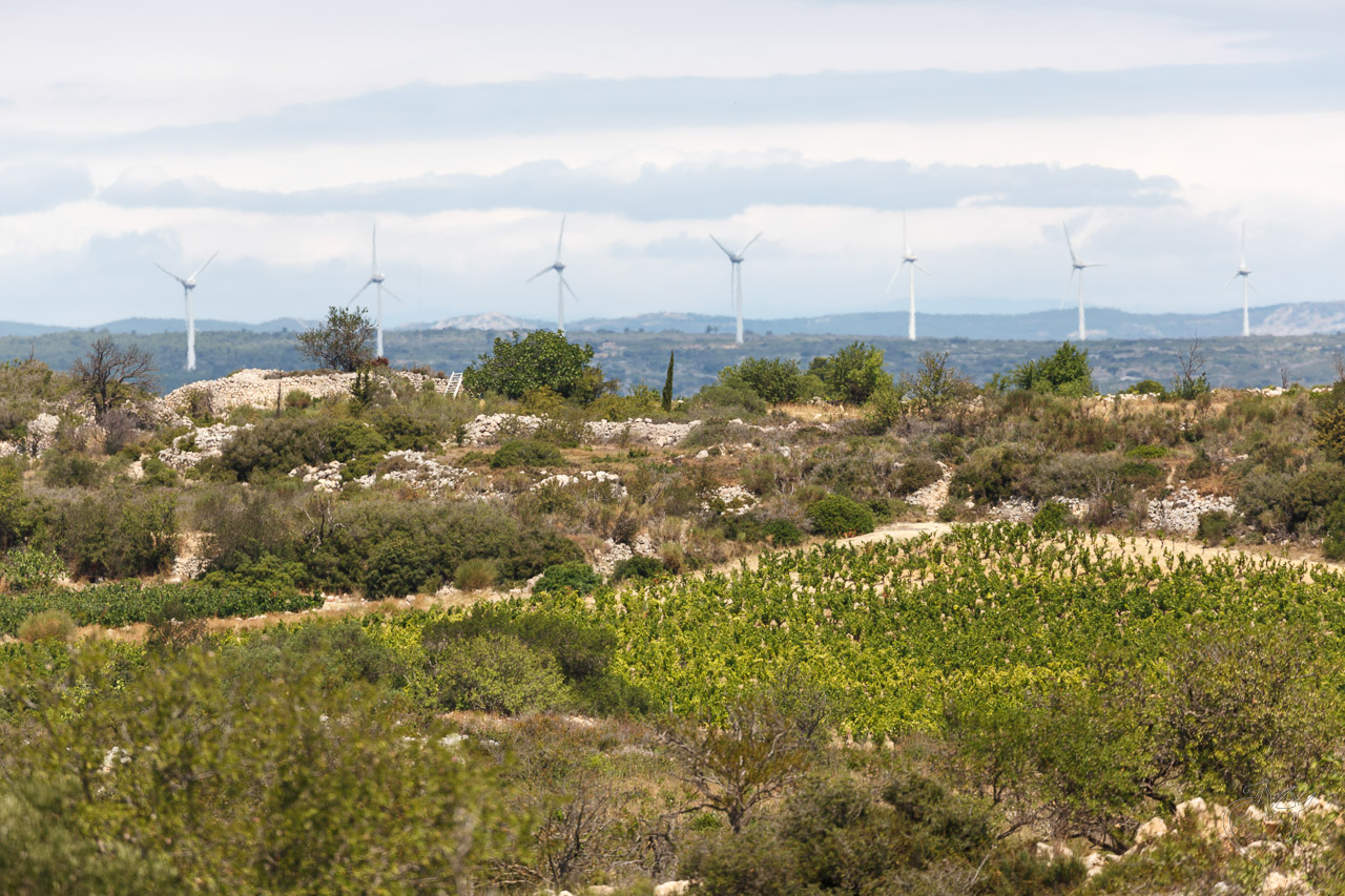 Quelques paysages - Photo n°2