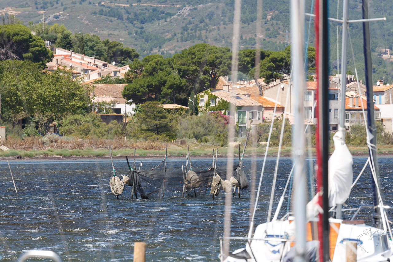 Quelques paysages - Photo n°3