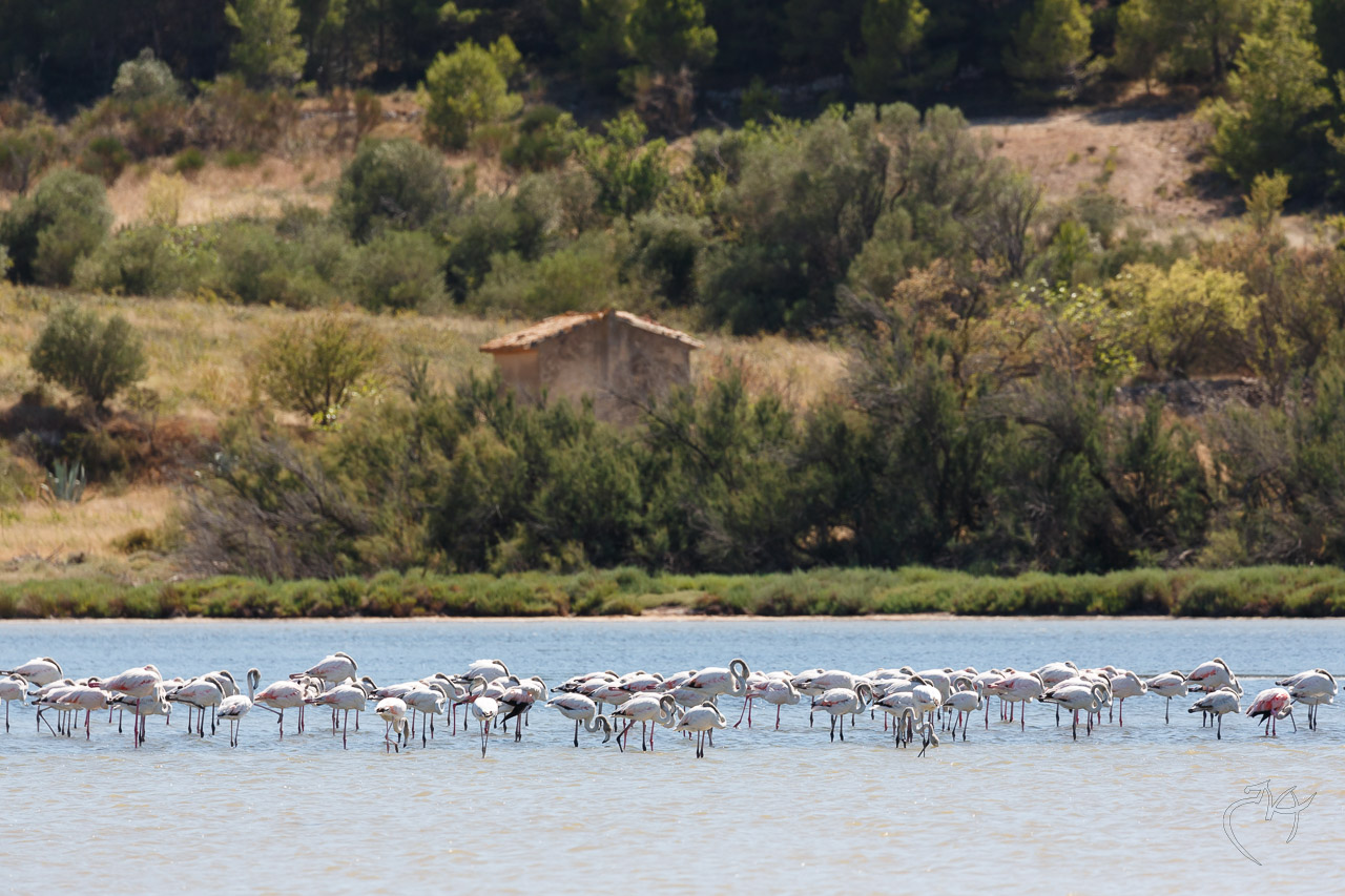 Quelques paysages - Photo n°5