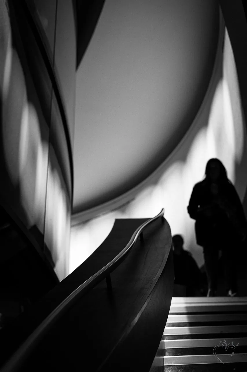 Noirs et blancs - Photo n°4