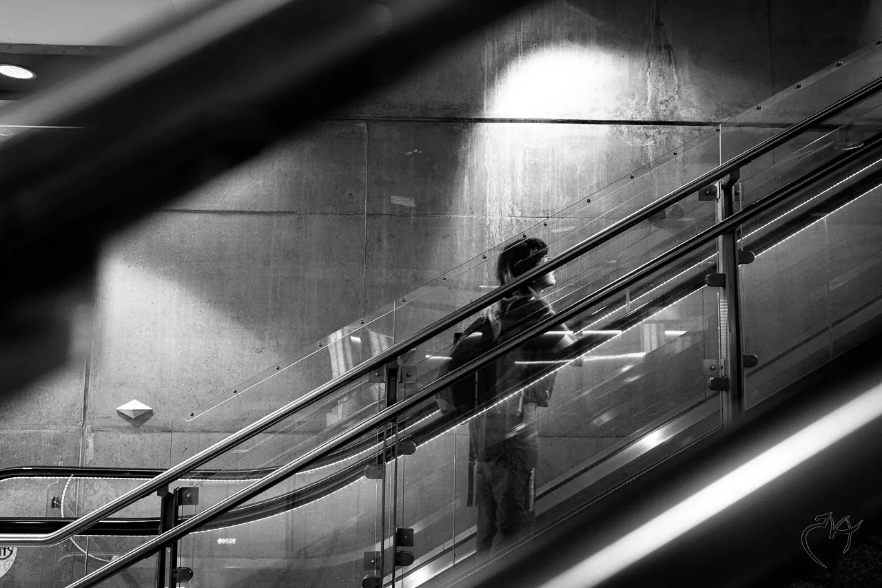 Noirs et blancs - Photo n°5