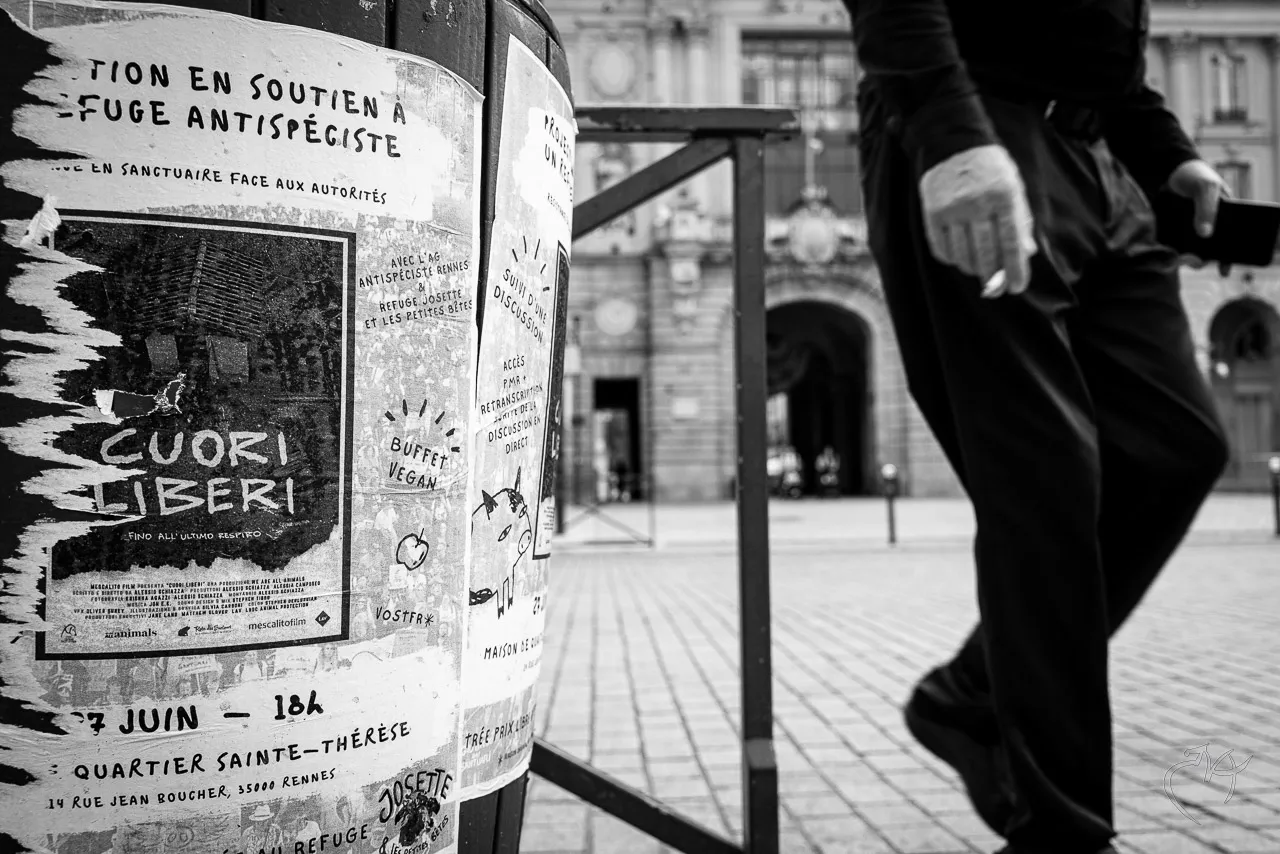 Noirs et blancs - Photo n°6