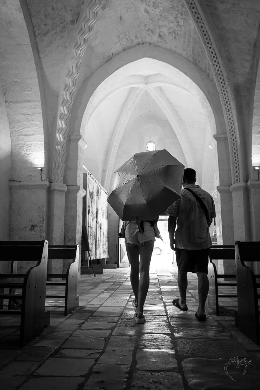 Noirs et blancs - Photo n°11