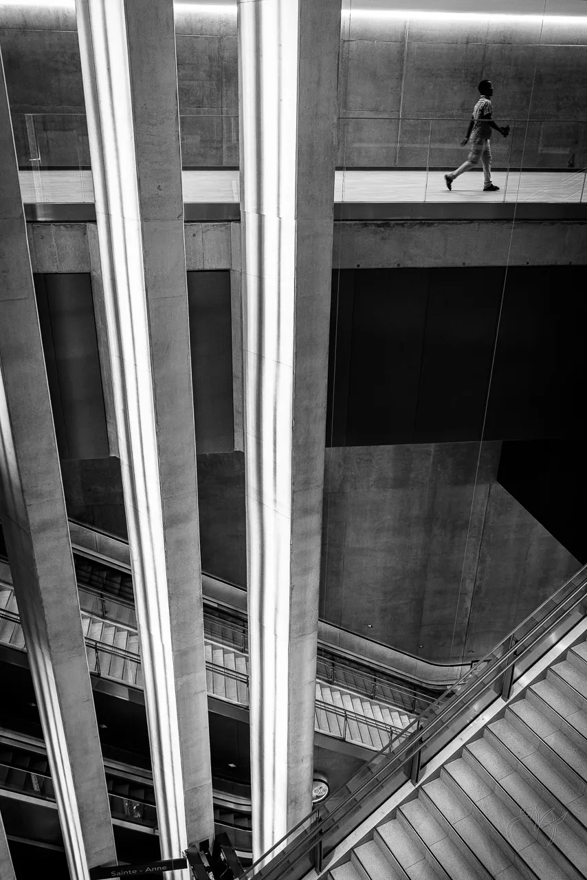 Noirs et blancs - Photo n°12