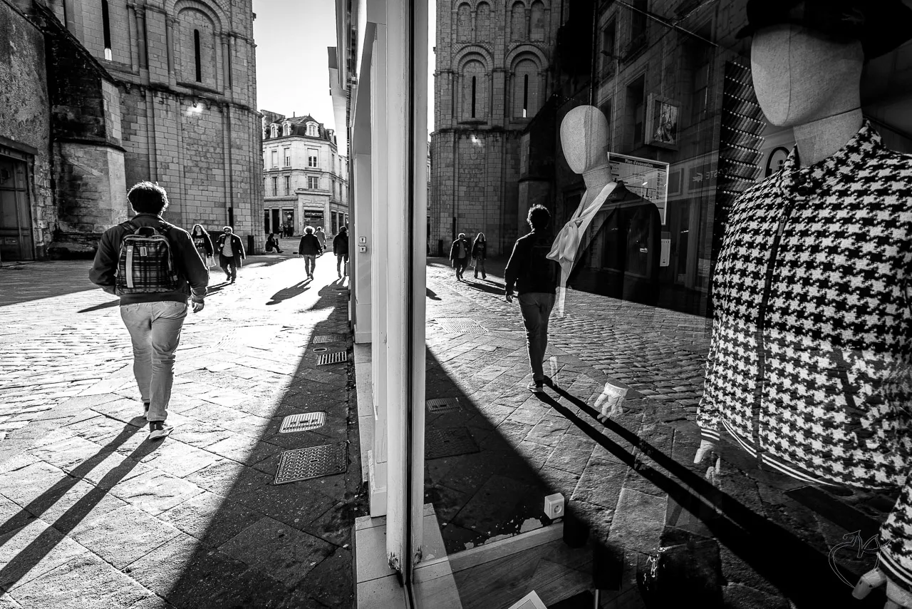 Noirs et blancs - Photo n°13