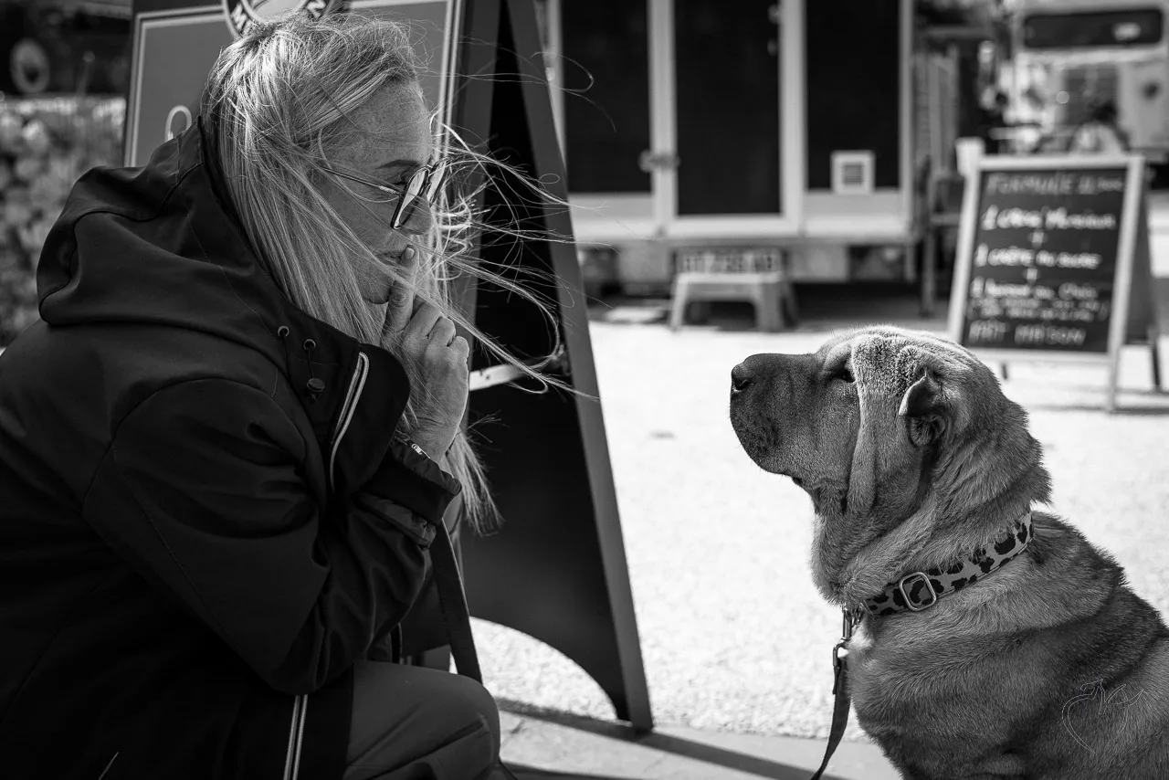 Noirs et blancs - Photo n°22