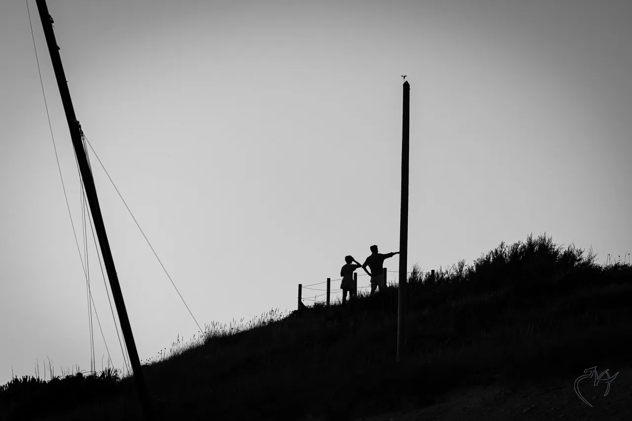 Noirs et blancs - Photo n°28
