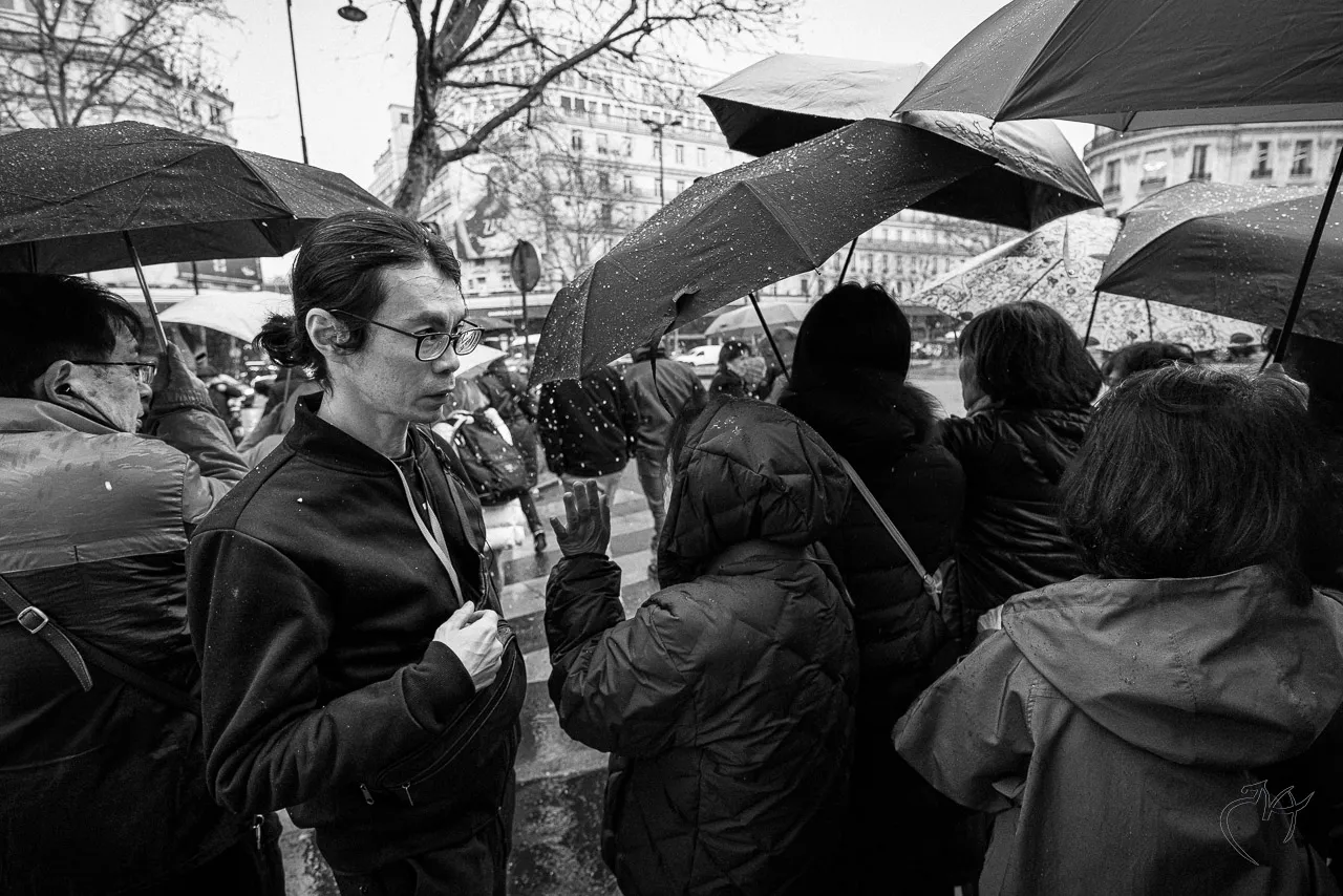 Noirs et blancs - Photo n°31