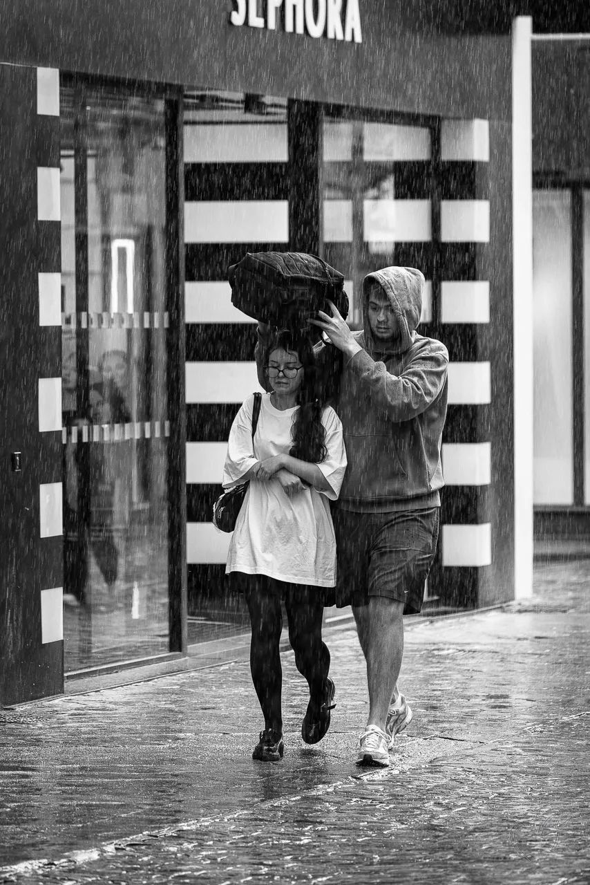 Noirs et blancs - Photo n°34