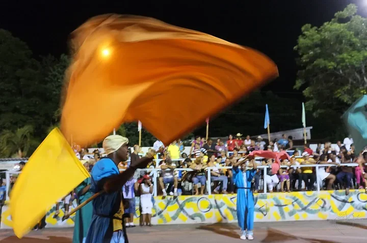 Le carnaval - Photo n°1