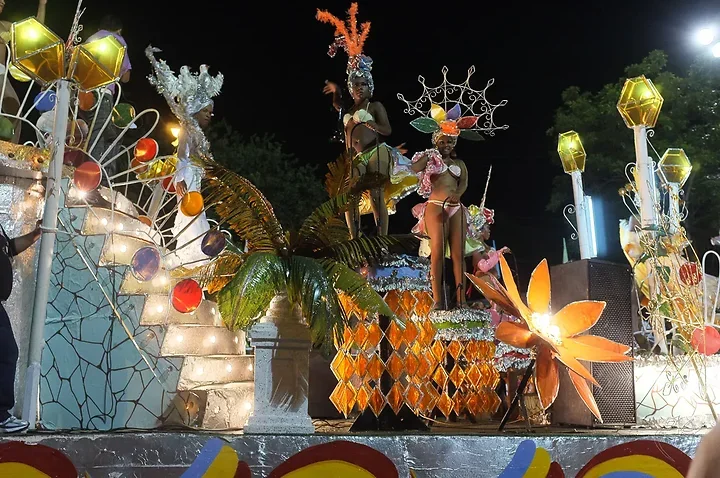 Le carnaval - Photo n°3