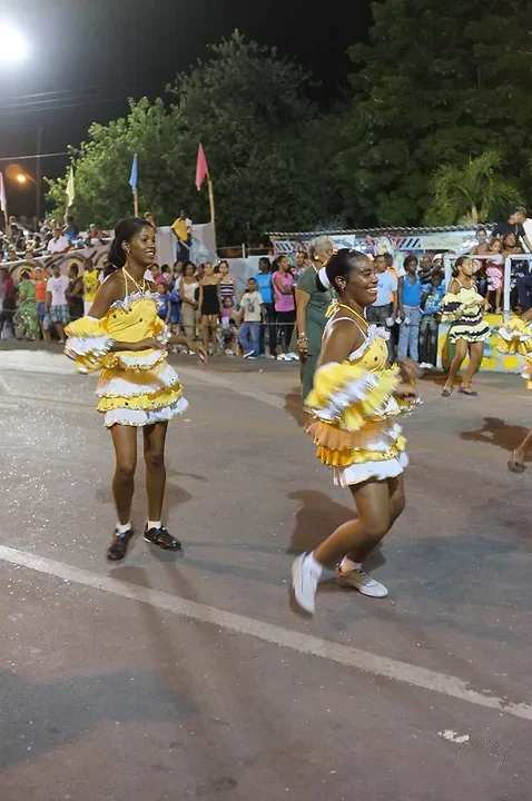 Le carnaval - Photo n°4
