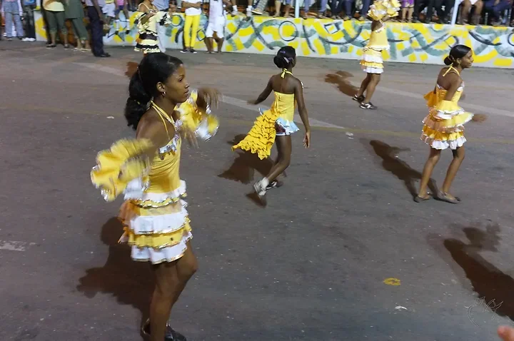 Le carnaval - Photo n°5