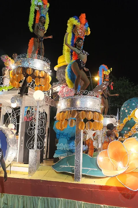 Le carnaval - Photo n°7